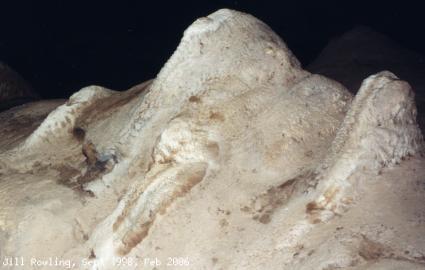 The Roast Chicken, Abercrombie Arch, Abercrombie Caves, NSW.