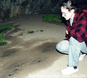 Elongated drip holes in mud, Stable Arch, Abercrombie Caves, NSW.