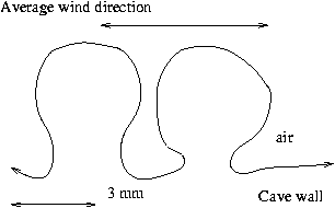 Normal spelean coralloids