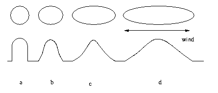 Relationship between Oval Cross Section Stalagmites and Wind Flow