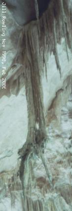 Clawed stalactite in Victoria Arch, Wombeyan Caves